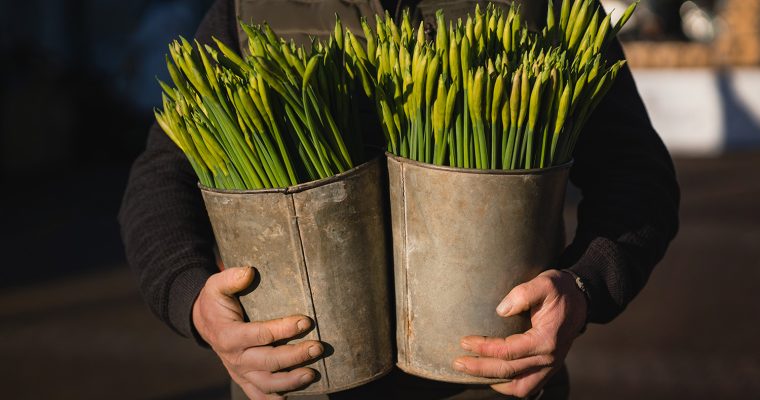 New plastic-free local market launching in Falmouth this spring